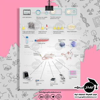 graphical abstract design sample طراحی شکل مقاله