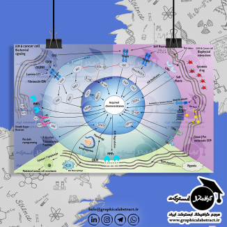 graphical abstract design sample طراحی شکل مقاله